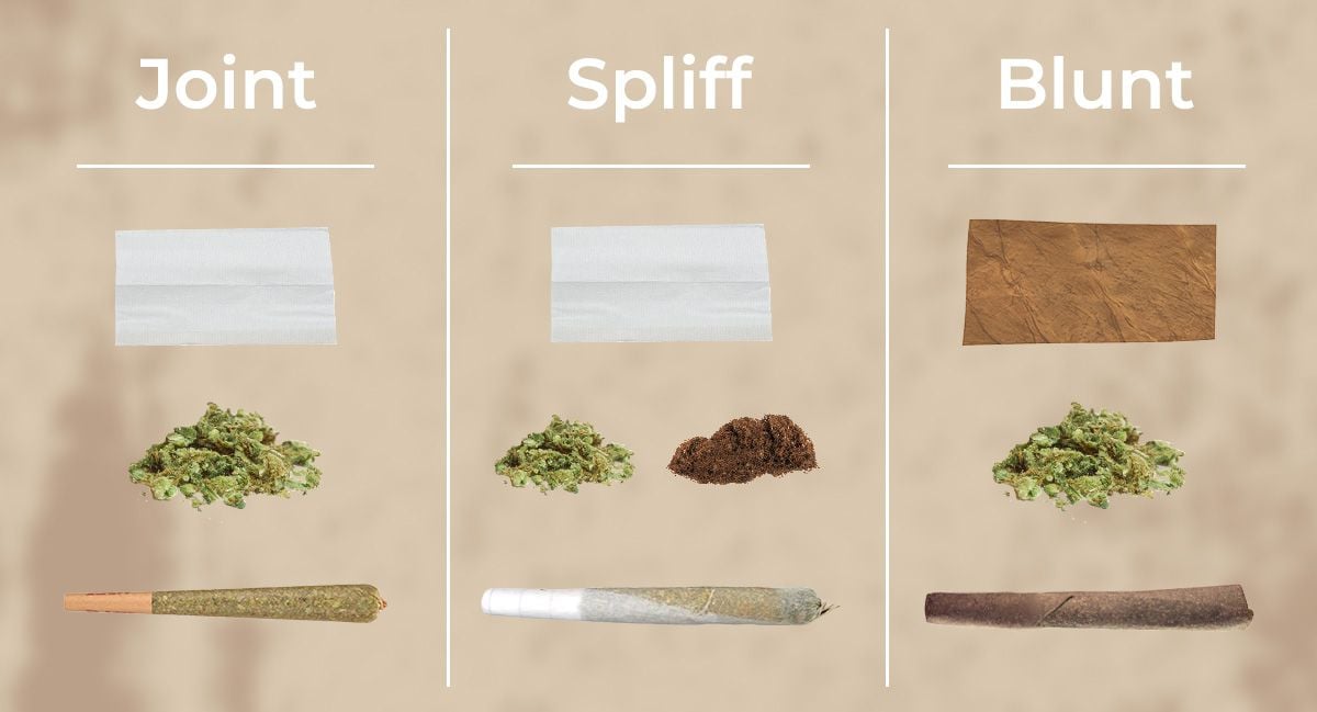 Joint vs Blunt vs Spliff: All Differences Explained | Fast Buds