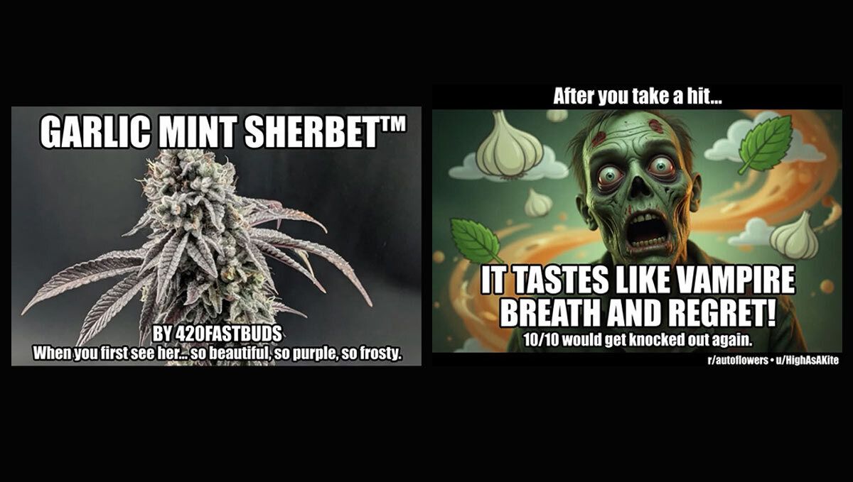 meme