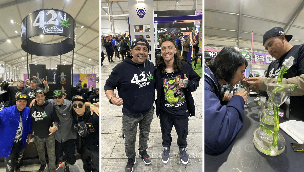 Much More Than an Expo, A Weed Festival Much More Than an Expo, A Weed Festival