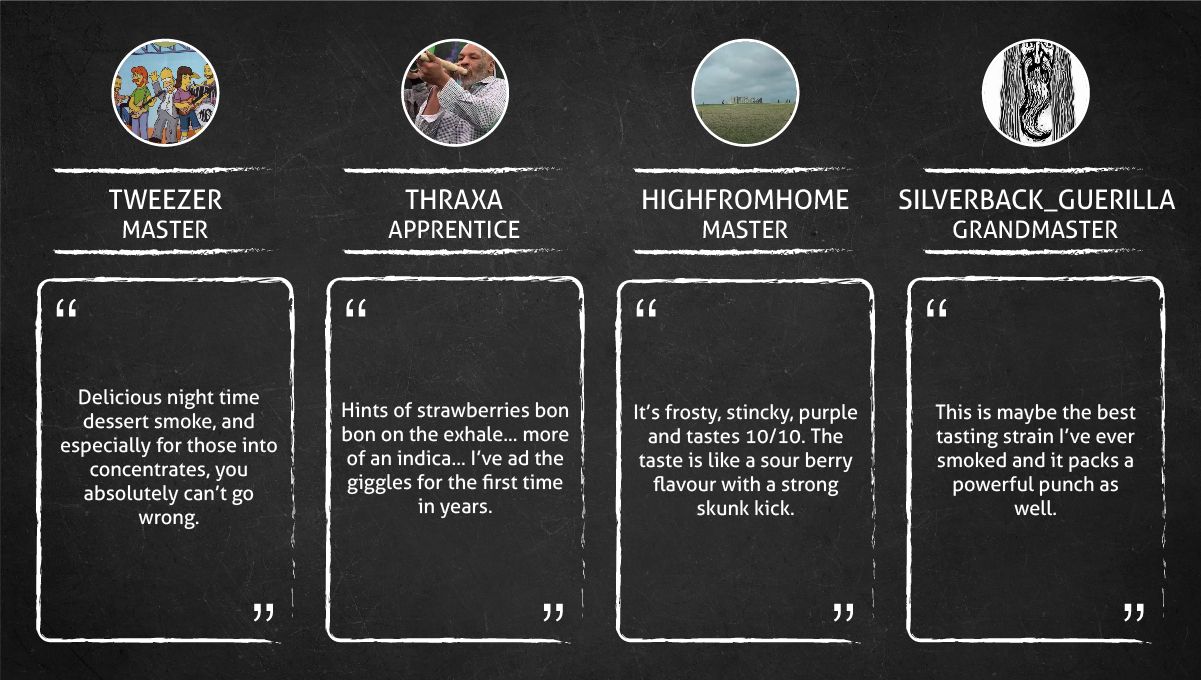 Strawberry Pie Auto Cannabis Strain Week-by-Week Guide: Smoke report