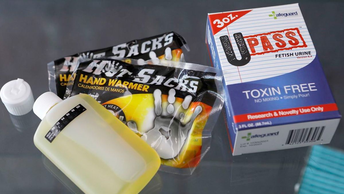 How to pass drug tests: synthetic urine