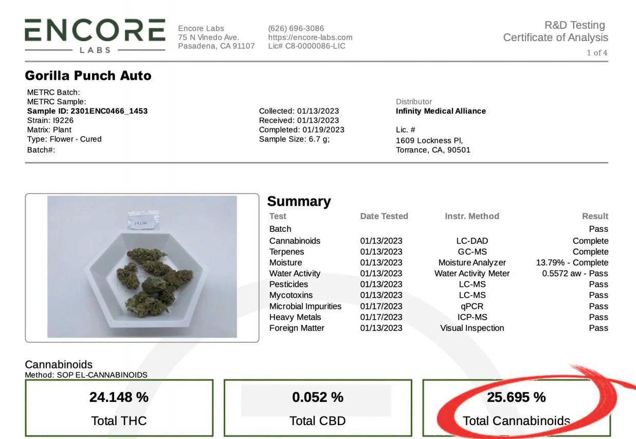 Gorilla Punch Auto cannabis strain: lab test certificate Gorilla Punch Auto cannabis strain: lab test certificate