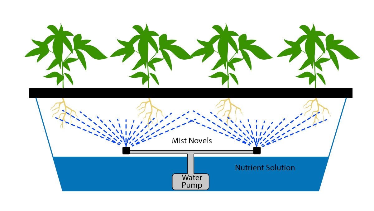 Wie man autoflowering Cannabispflanzen in Hydroponik-Systemen anbaut: Aeroponik