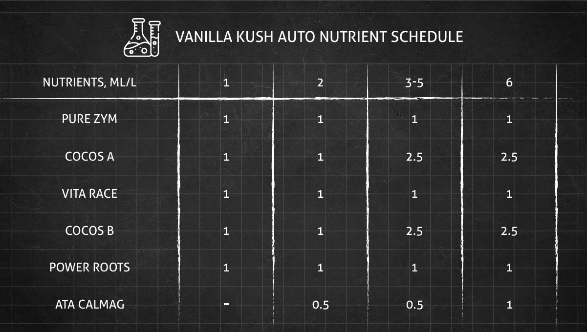 Vanilla Kush cannabis strain: feeding chart for the vegetative stage