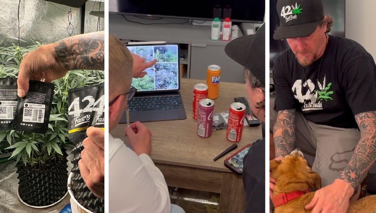 Grow-Tour | Fast Buds besucht Patricks Grow in Hamburg Grow-Tour | Fast Buds besucht Patricks Grow in Hamburg