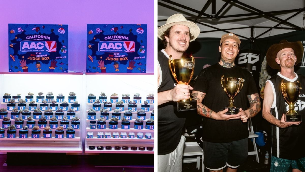 Collages aac.jpg AAC 2025