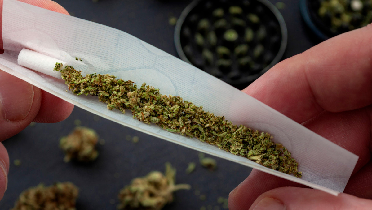 Types of Сannabis - The Different Kinds Of Weed: A closeup of a person's fingers as he rolls a joint as loose buds and a grinder are seen in the background