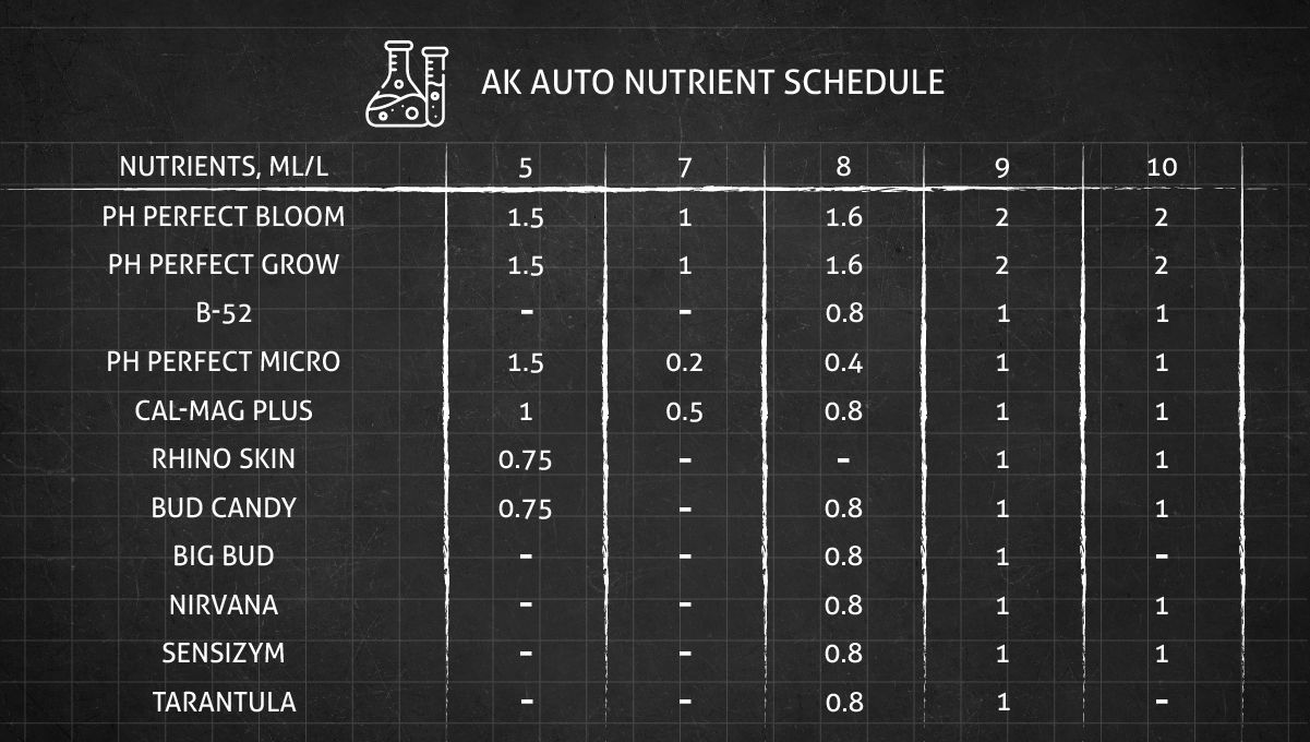 AK Auto cannabis strain: feeding chart for the flowering stage