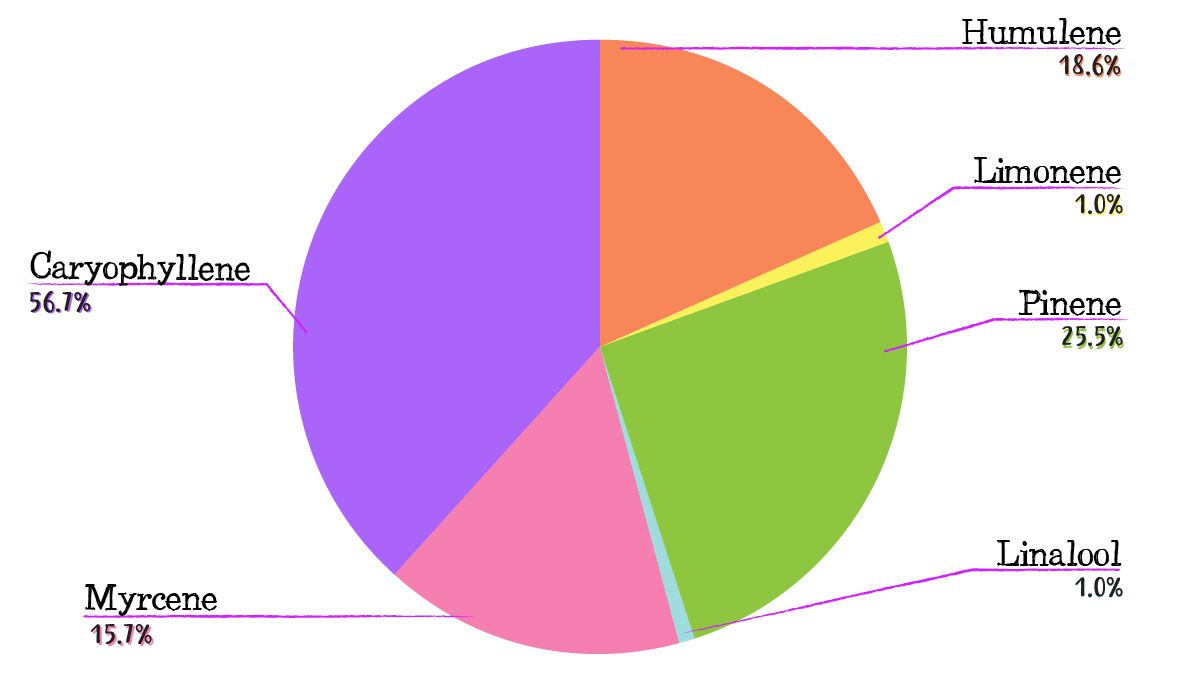 Big Bud Auto Cannabis Strain Week-by-Week Guide: Terpene profile