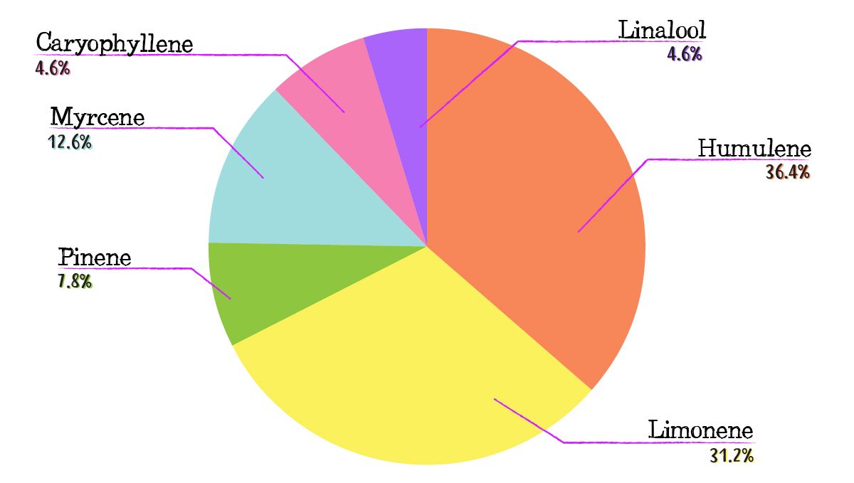 Dos-si-dos cannabis strain week-by-week guide: terpene profile