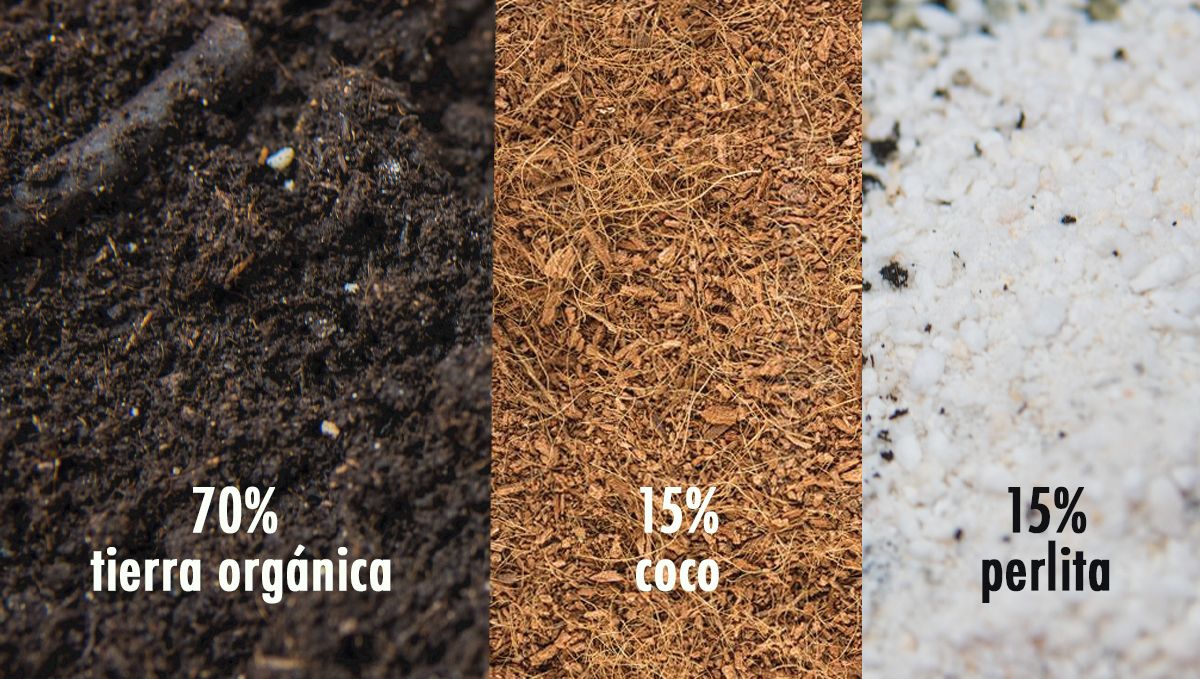La mejor mezcla de tierra orgánica para cultivadores experimentados