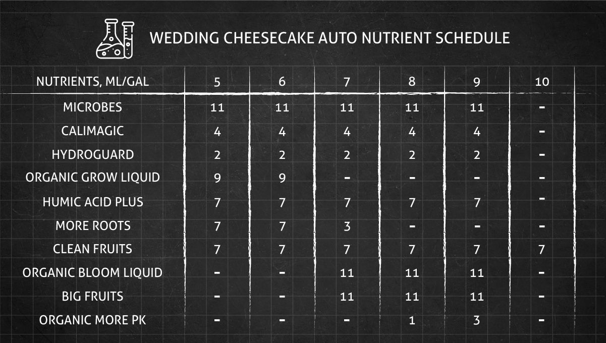 Feeding Solution For The Coco Medium Feeding Solution For The Coco Medium