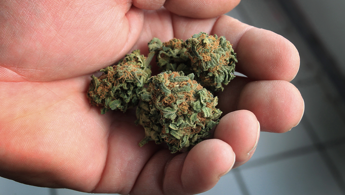 Weed in afghanistan: medical cannabis Weed in afghanistan: medical cannabis