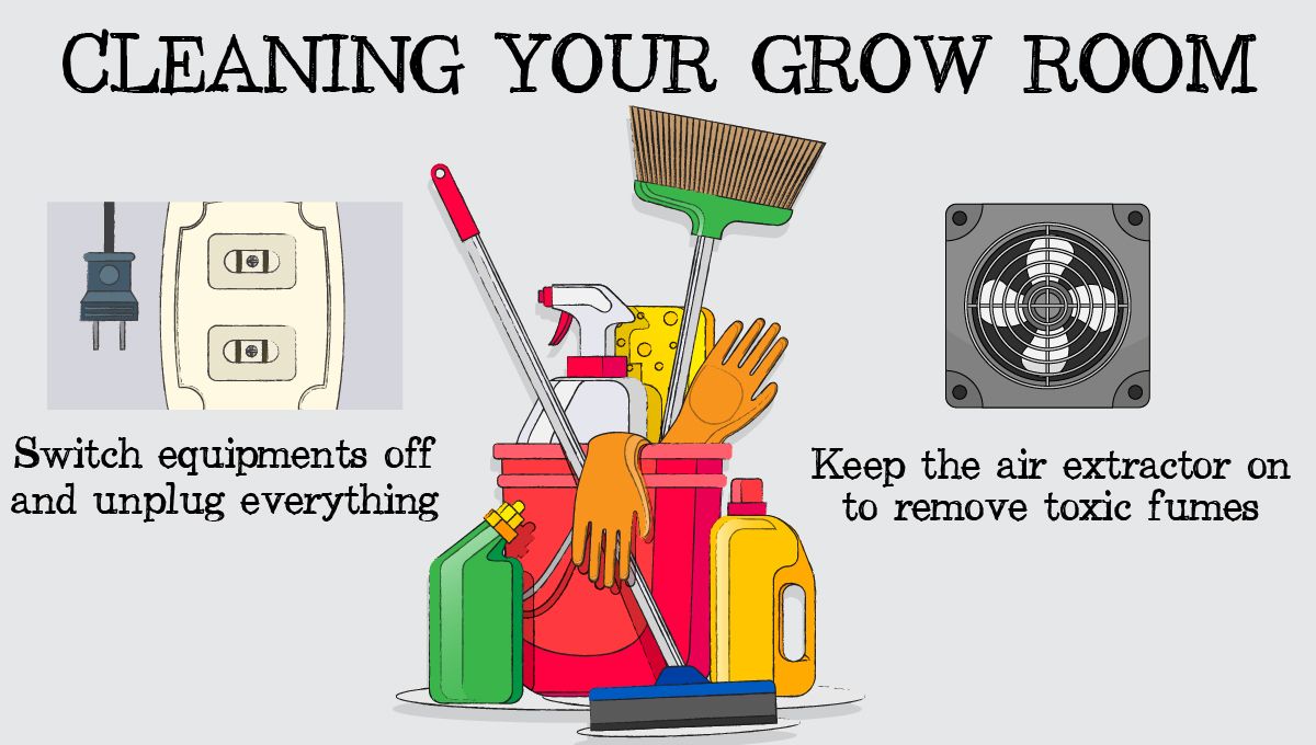 Top sanitation tips: cleaning your grow space