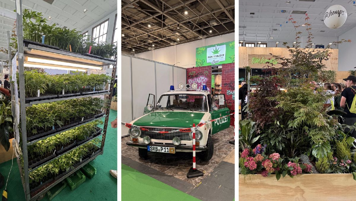 Mary Jane 2024: Die erste legale Cannabis-Expo in Europa Mary Jane 2024: Die erste legale Cannabis-Expo in Europa