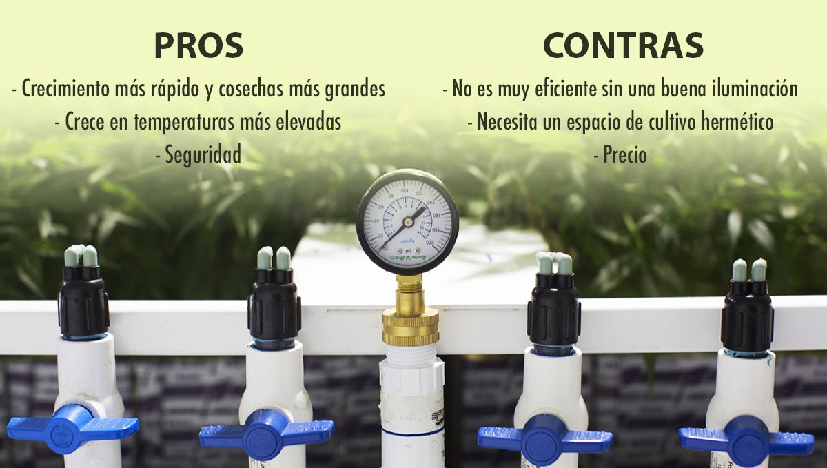 Cómo aumentar los rendimientos del cannabis con CO2: ventajas e inconvenientes Cómo aumentar los rendimientos del cannabis con CO2: ventajas e inconvenientes