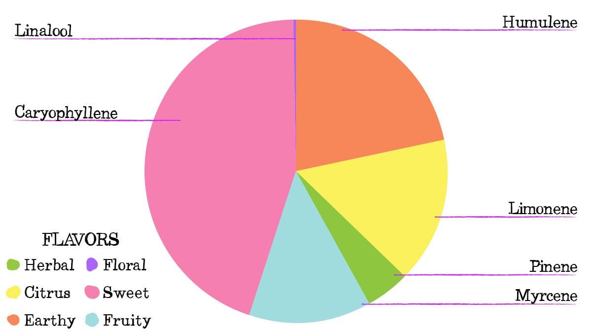 Skunk Auto Cannabis-Sorte Wochen-für-Wochen-Anleitung: Terpenprofil