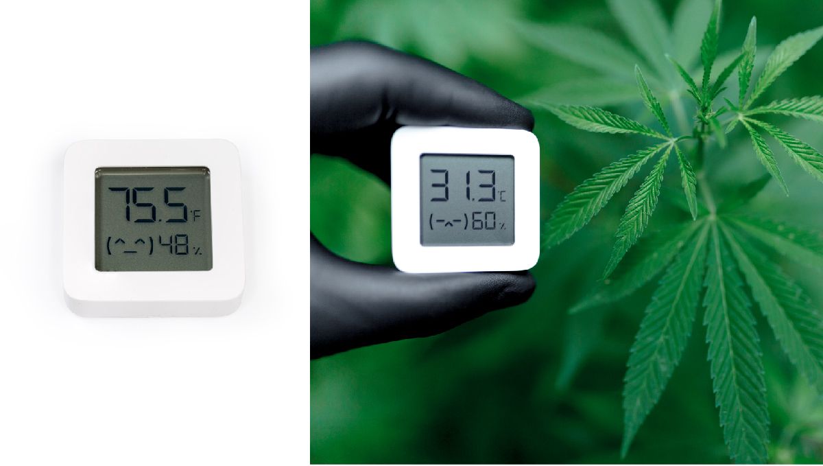 Top 8 growing gadgets: digital thermometer/hygrometer