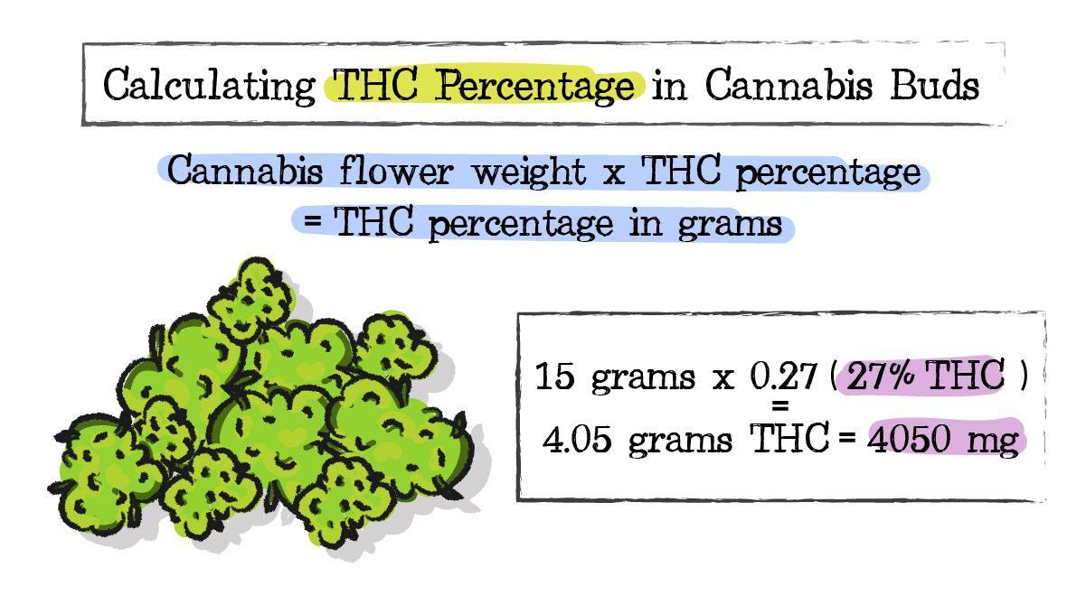 How to make cannabis sugar: calculating THC content How to make cannabis sugar: calculating THC content
