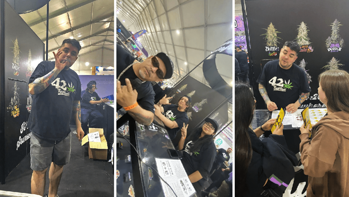 Much More Than an Expo, A Weed Festival Much More Than an Expo, A Weed Festival