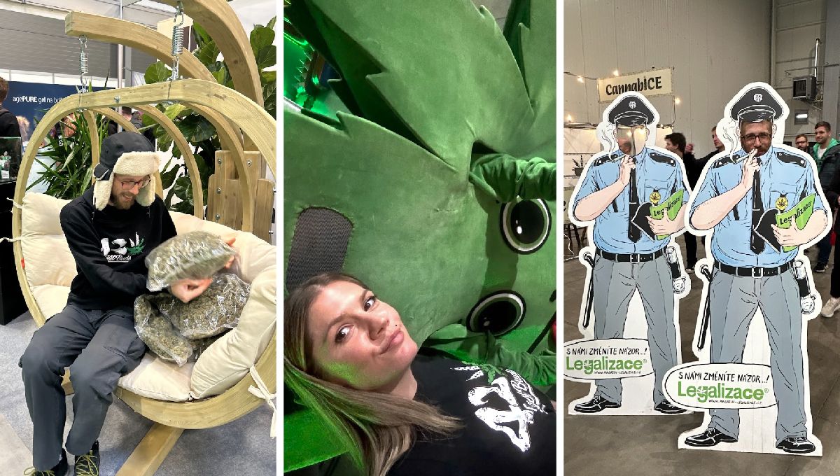 Cannafest Prague 2023 Cannafest Prague 2023