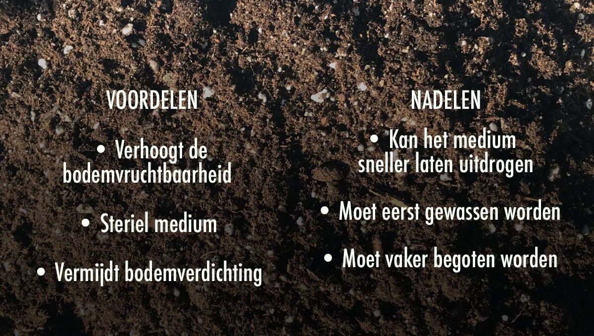 Welke grond is het beste voor zelfbloeiende cannabis?: Voor- en nadelen van het gebruik van perliet in je grond