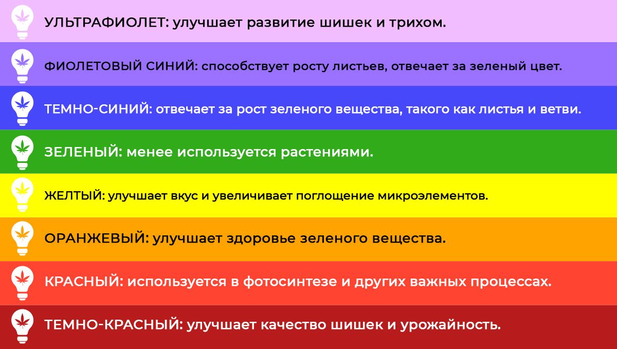 visible_light_es.jpg Best light spectrum for autos: light spectrum and plant growth