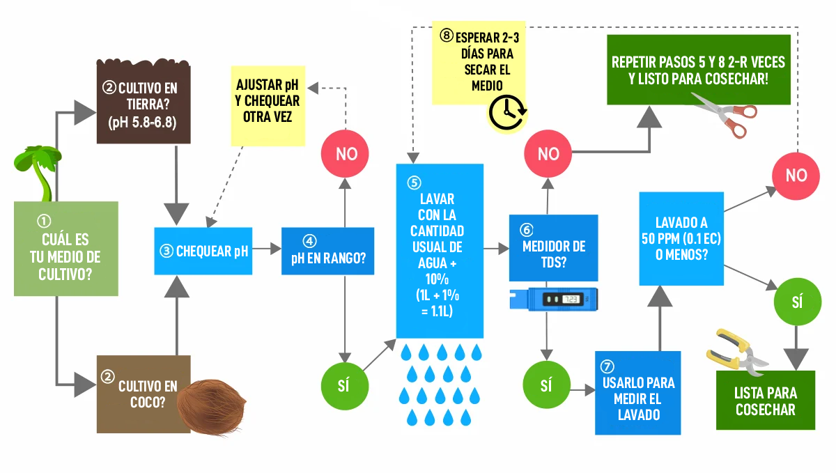Cómo lavar las autoflorecientes: cómo lavar el cannabis autofloreciente Cómo lavar las autoflorecientes: cómo lavar el cannabis autofloreciente
