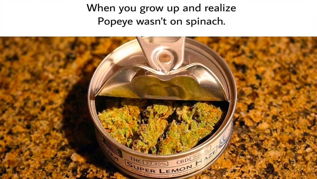 1 (2).jpg Шеговит мем што ја покажува домишленоста на канабис одгледувачите.