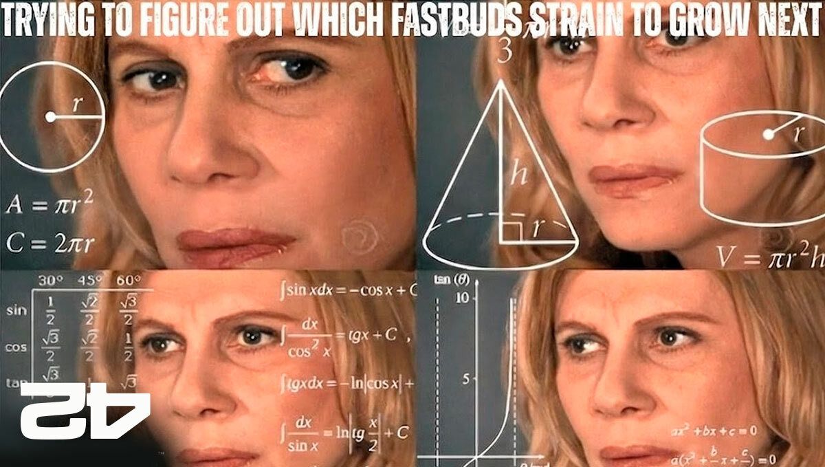 meme