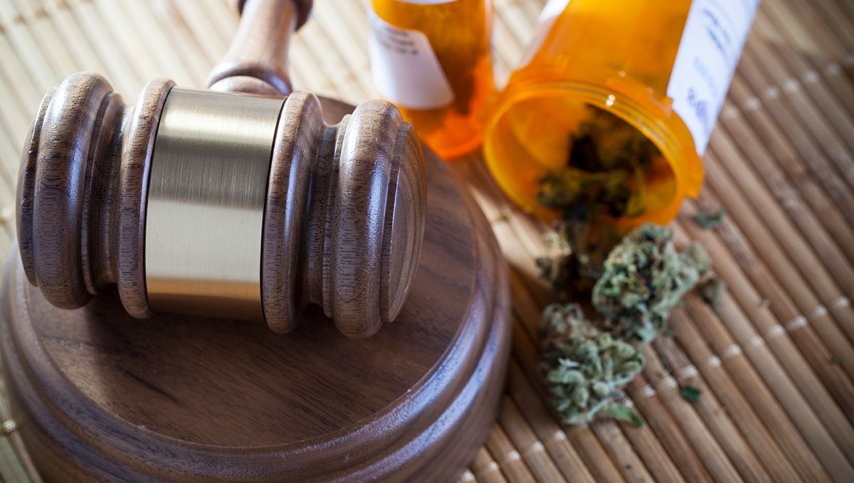 Weed in France: Cannabis Legal Status Guide: Growing Cannabis in France Weed in France: Cannabis Legal Status Guide: Growing Cannabis in France