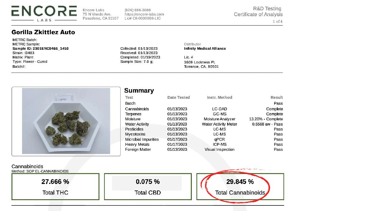 Labortest für Gorilla Z Auto Labortest für Gorilla Z Auto