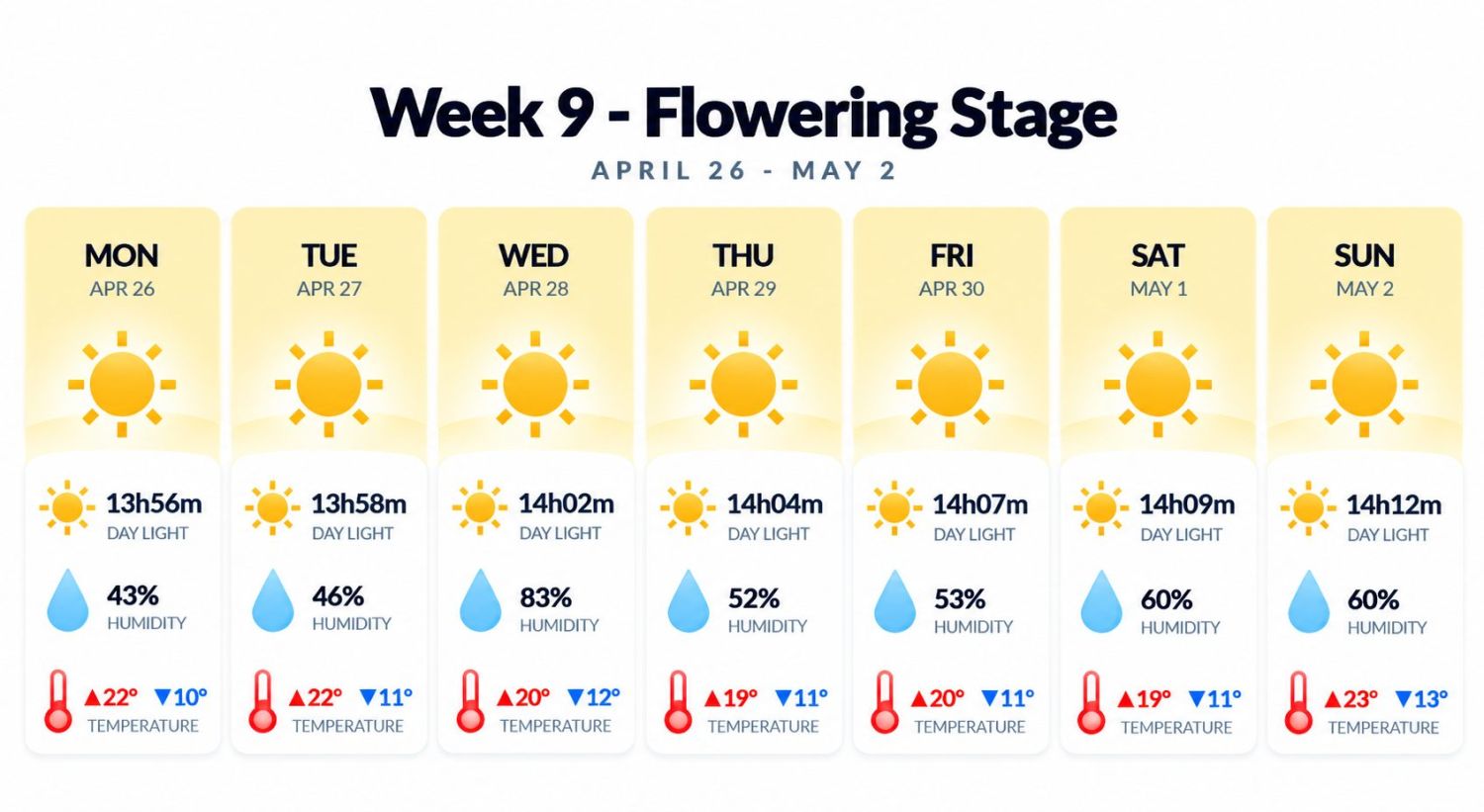 Growing cannabis outdoors in Italy: week 9 of the vegetative stage