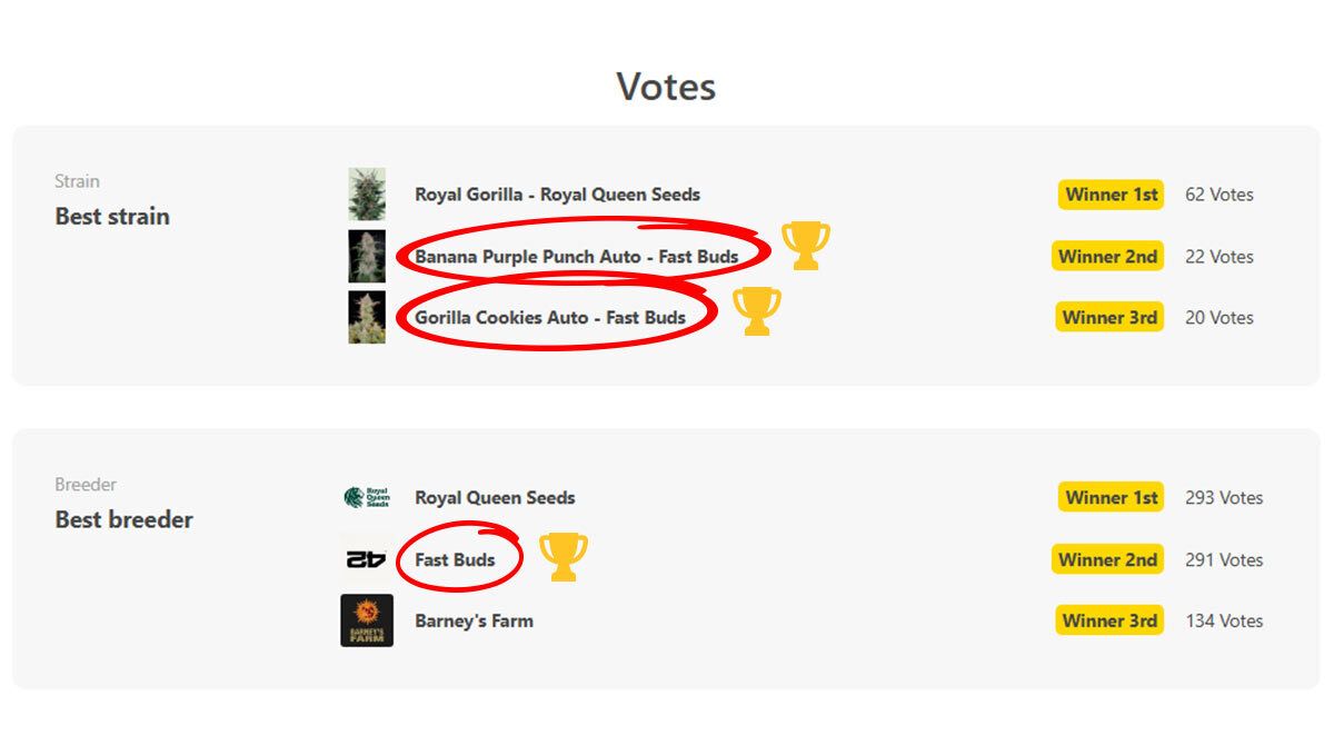 Banana Purple Punch 和 Gorilla Cookies