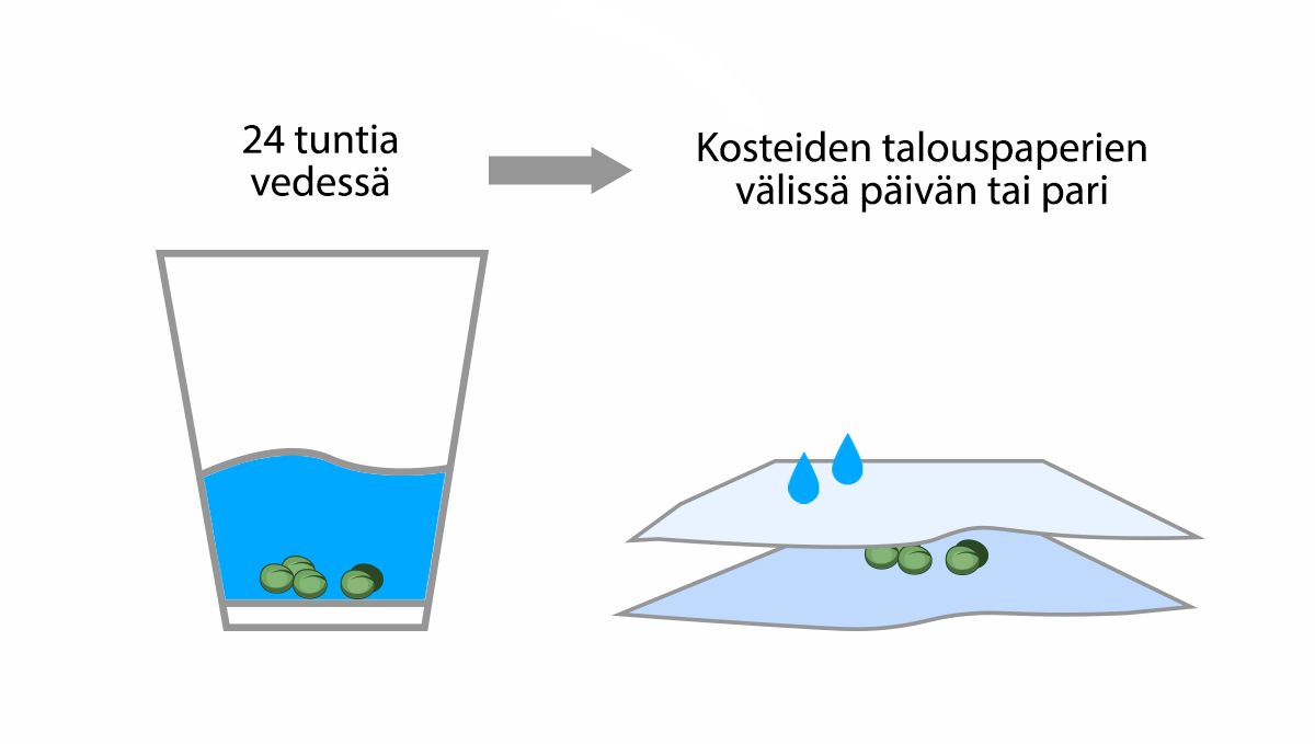 9 virhett&auml; joita v&auml;ltt&auml;&auml;: id&auml;tt&auml;minen