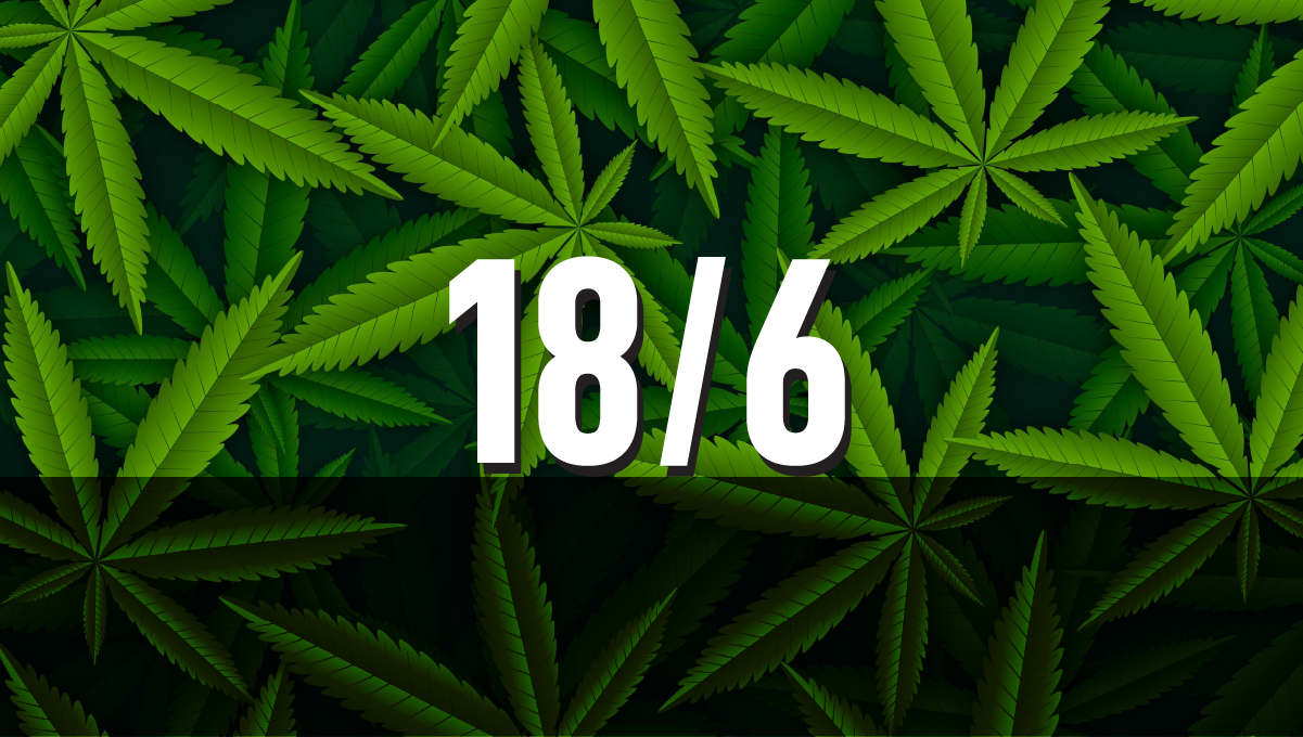 18/6 Light Cycle for cannabis plants