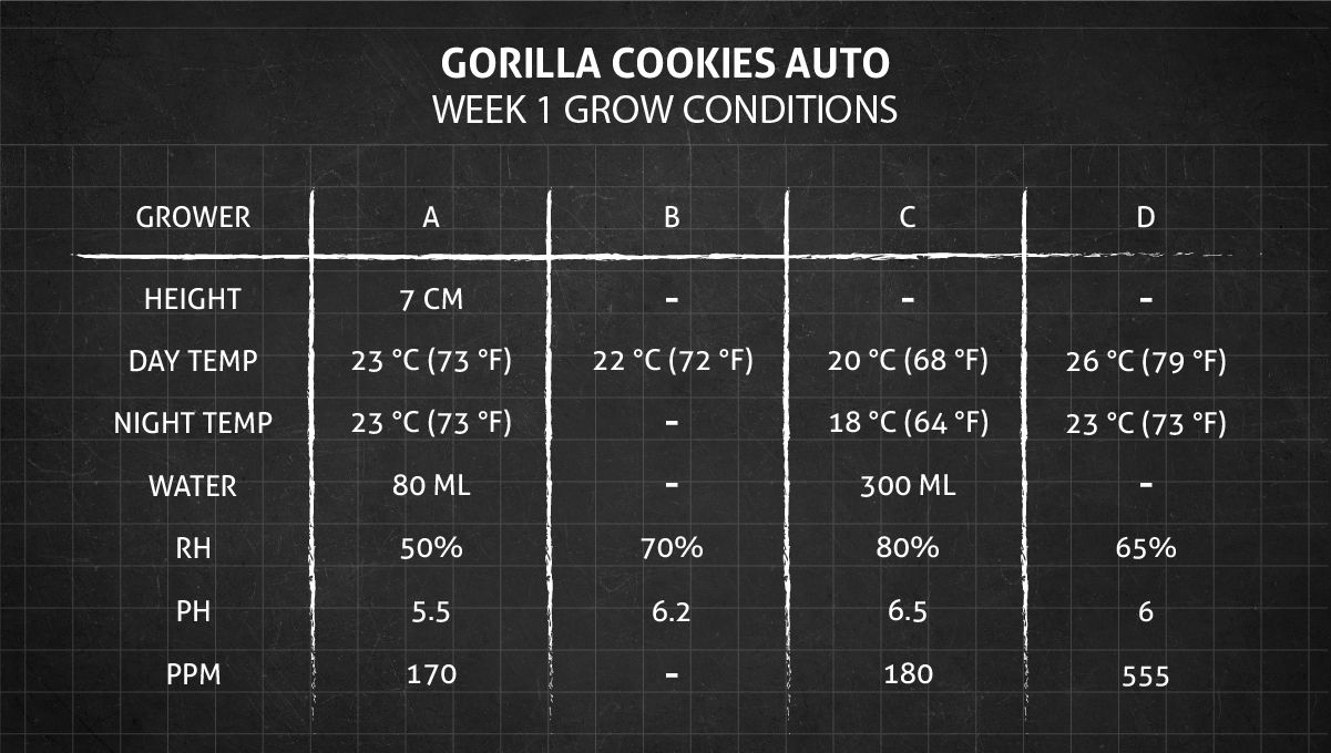 Gorilla Cookies Auto Cannabis Strain Week-by-Week Guide: Week 1 Grow Conditions