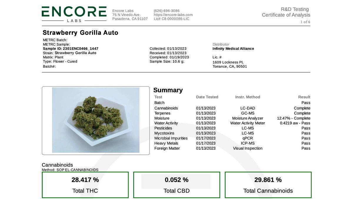 Fast Buds wins the AAC 2023! Fast Buds wins the AAC 2023!