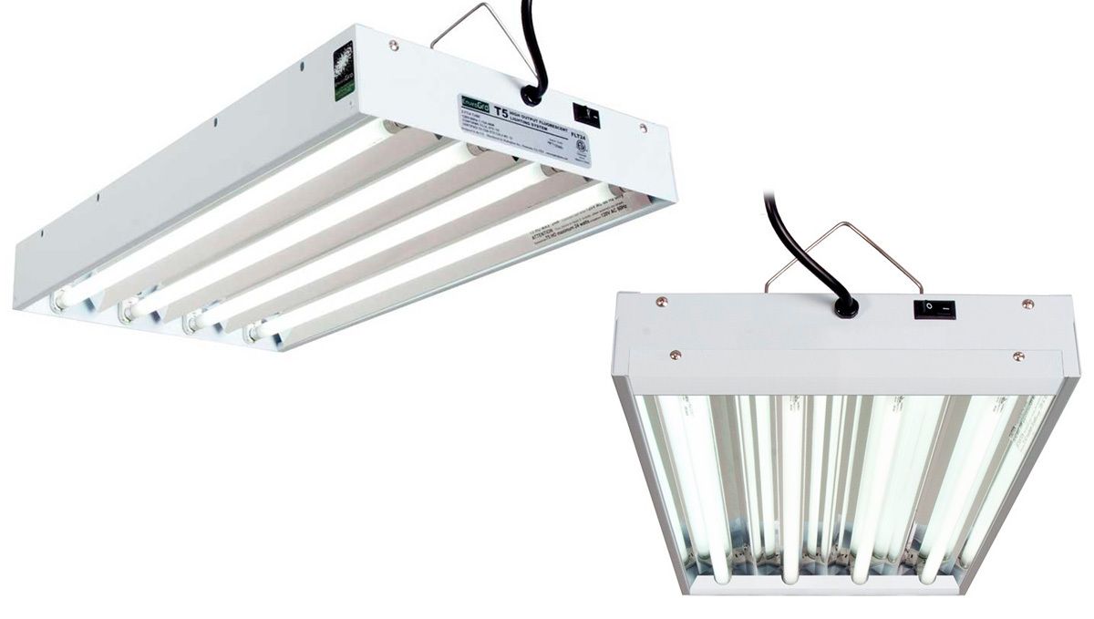 Can you grow autoflowers with CFLs: what are fluorescent lights? Can you grow autoflowers with CFLs: what are fluorescent lights?