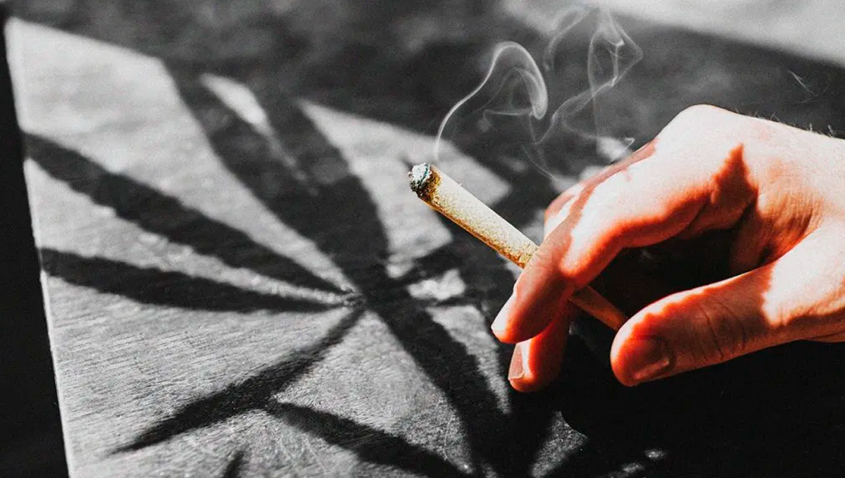 Weed in ireland: politics Weed in ireland: politics