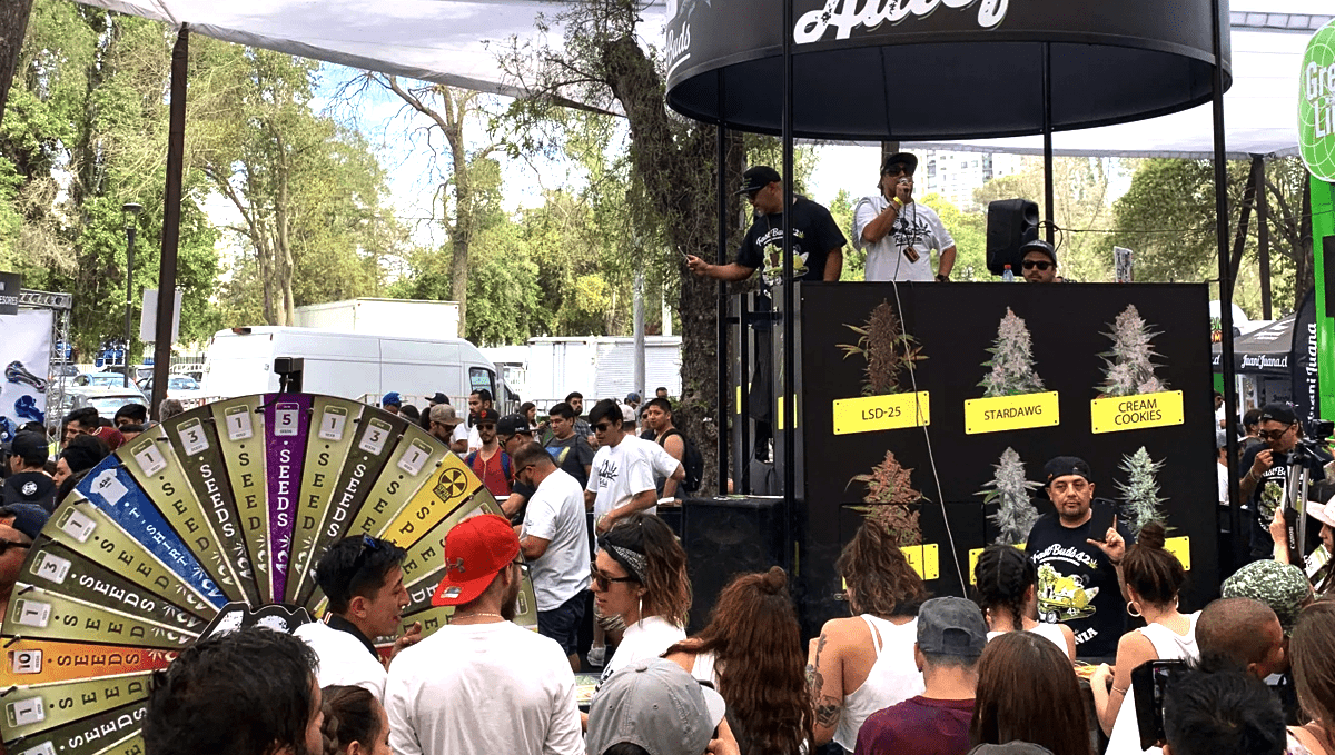 Fast Buds team in Latin America