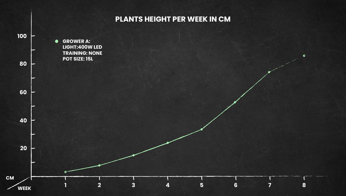 Grapefruit Auto cannabis strain height chart