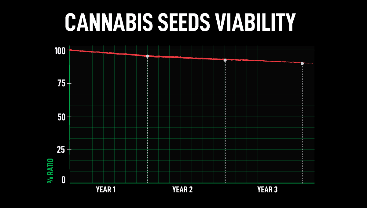 Co je výprodej Fast Buds? Co je výprodej Fast Buds?