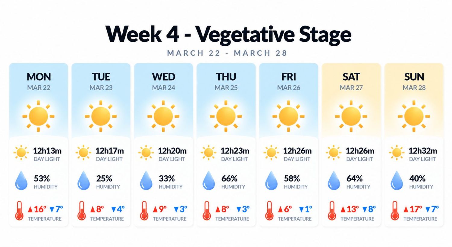 Growing cannabis outdoors in Italy: week 4 of the vegetative stage