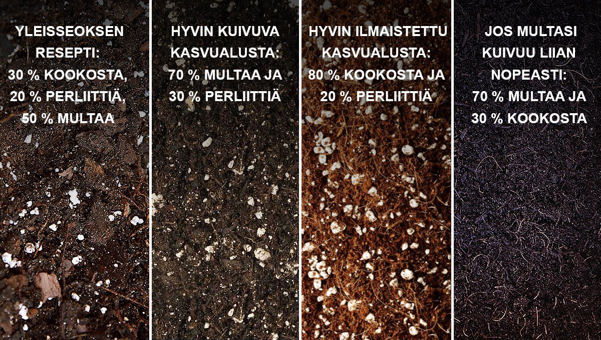 9 virhett&auml; joita v&auml;ltt&auml;&auml;: paras kasvualusta