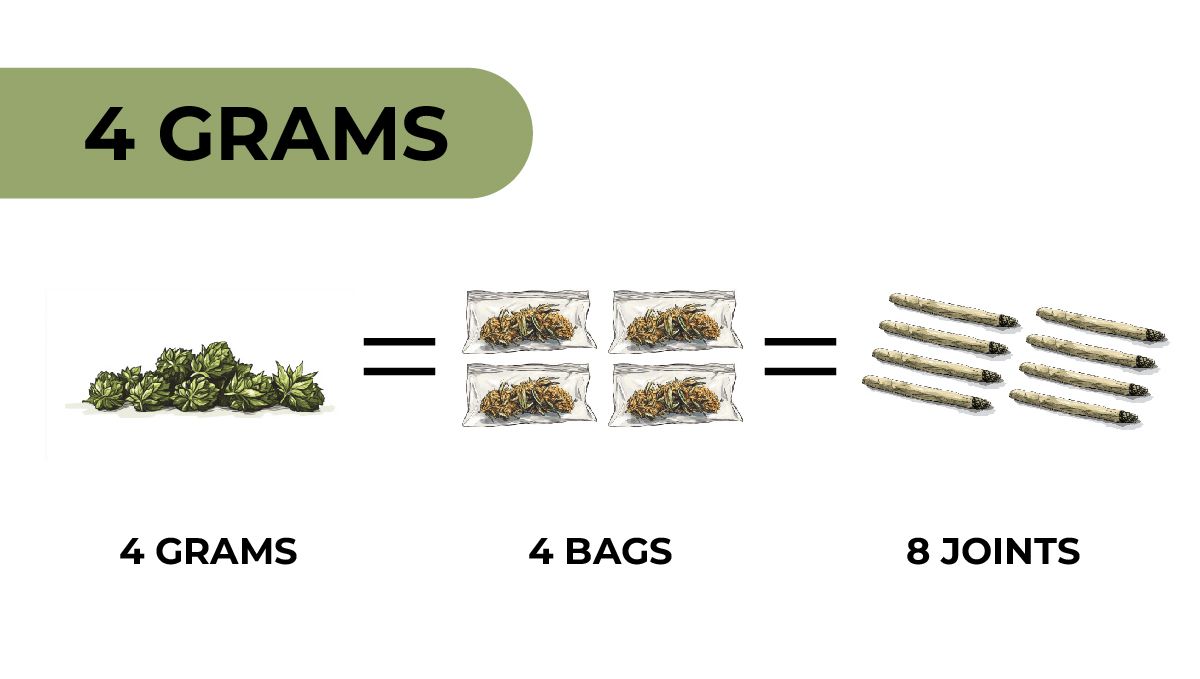 4 Grams of Weed: Understanding Marijuana Weights and Measurements: An infographic showing how many joints you can roll from 4 grams of cannabis