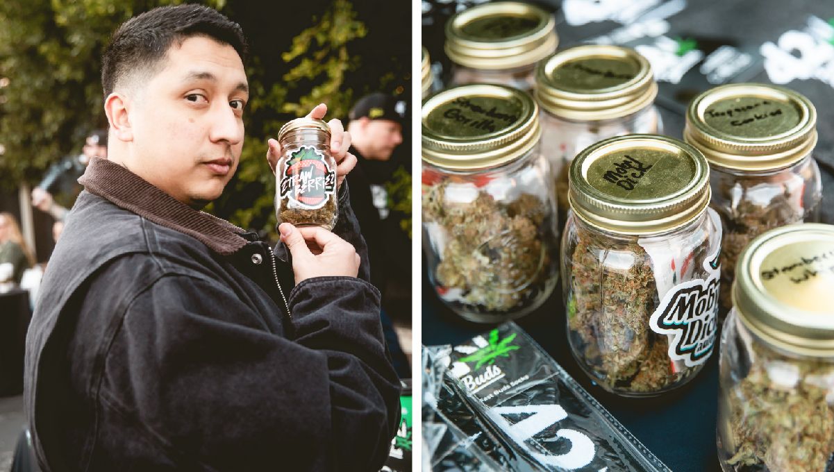 Collages-25.jpg Fast Buds-Sorten auf der AAC 2024 vertreten.