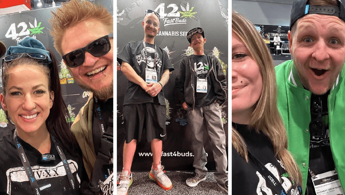 Banana Purple Punch Auto Sets a New THC Record at the MJ BizCon 2023! Banana Purple Punch Auto Sets a New THC Record at the MJ BizCon 2023!