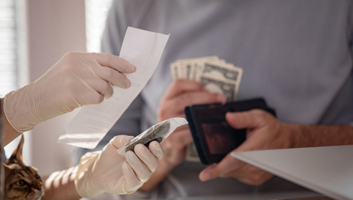 Ounce of weed: how much does an ounce of weed cost? Ounce of weed: how much does an ounce of weed cost?