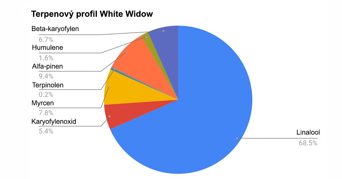 White Widow Auto průvodce: terpenový profil